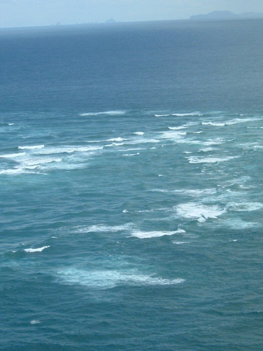 08 NZ.jpg